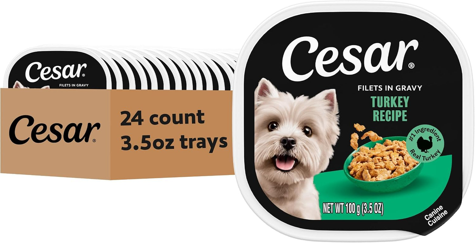 cesar-filets-in-gravy-wet-dog-food-filet-mignon-flavor-3-5-oz-24-count-real-beef-easy-to-digest-no-fillers-no-added-sugar-no-artificial-flavors-slow-cooked-tender-texture-easy-peel-trays