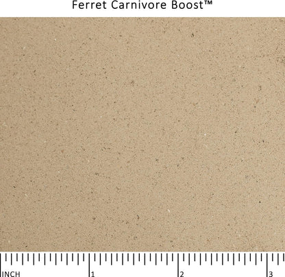 Ferret Carnivore Boost™4