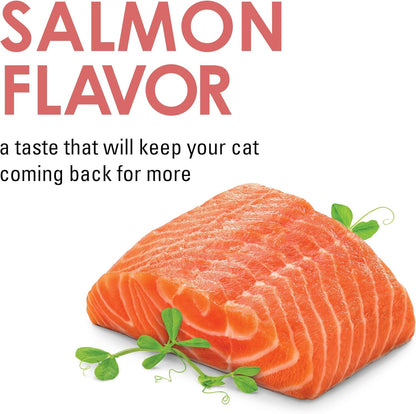 Fancy Feast Purina Limited Ingredient Cat Treats, Savory Cravings Salmon Flavor - 3 Oz. Box (Pack of 2)4