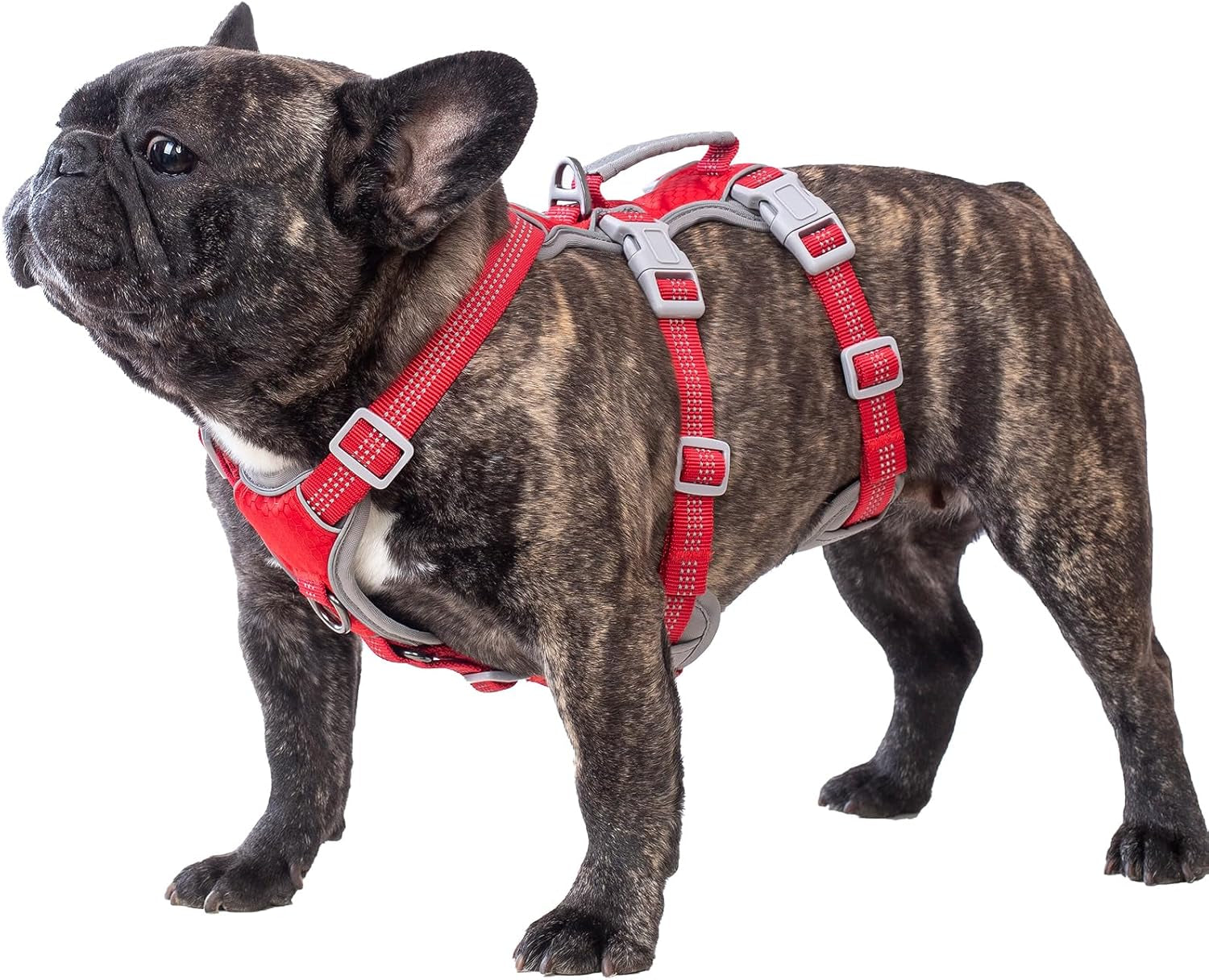 huntboo-escape-proof-dog-harness-escape-artist-harness-reflective-harness-with-padded-handle-breathable-durable-adjustable-vest-for-medium-dogs-walking-training-and-running-gear-blue-m