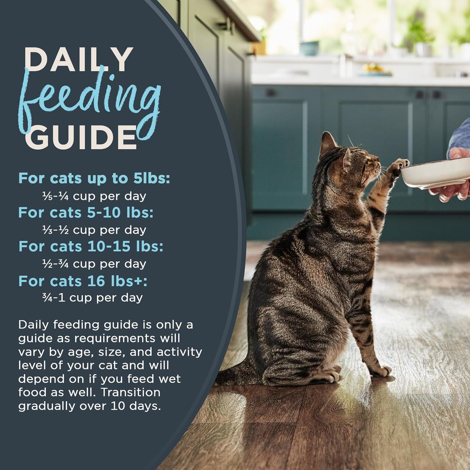reveal-whitefish-grain-free-complete-dry-cat-food-3-lb-bag-high-quality-protein-grain-free-omega-3-fatty-acids-for-healthy-skin-coat-added-vitamins-minerals-complete-balanced