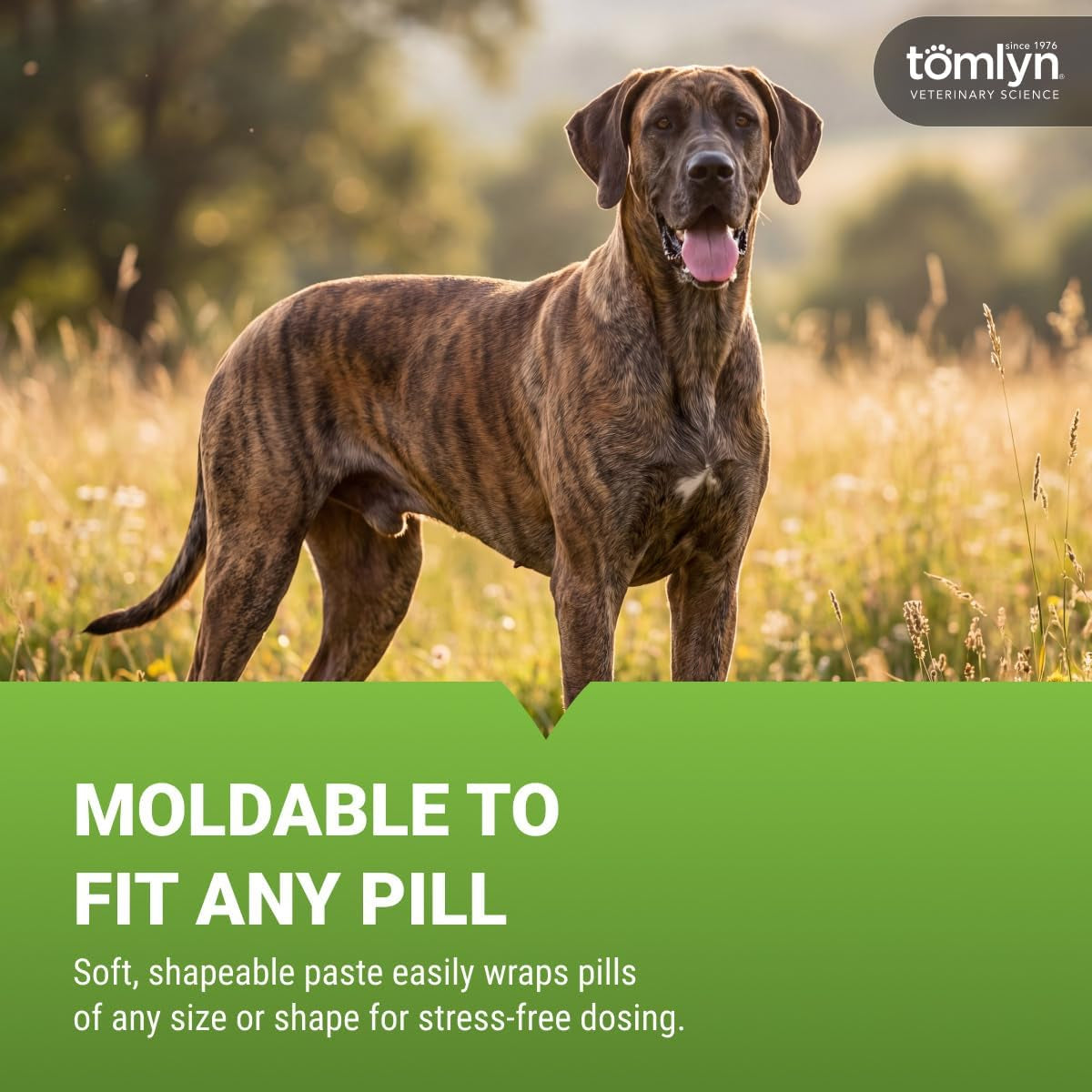 tomlyn-pill-masker-original-bacon-flavored-paste-for-dogs-cats-4oz