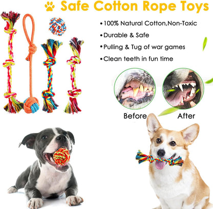 Aipper Dog Toys 25 Pack for Fun and Teeth Cleaning, Puppy Chew Toys Pack with Squeak Plush Toy,Squeaky Toy Balls,Tug of War and Rope Toys for Puppy to Small Dogs5
