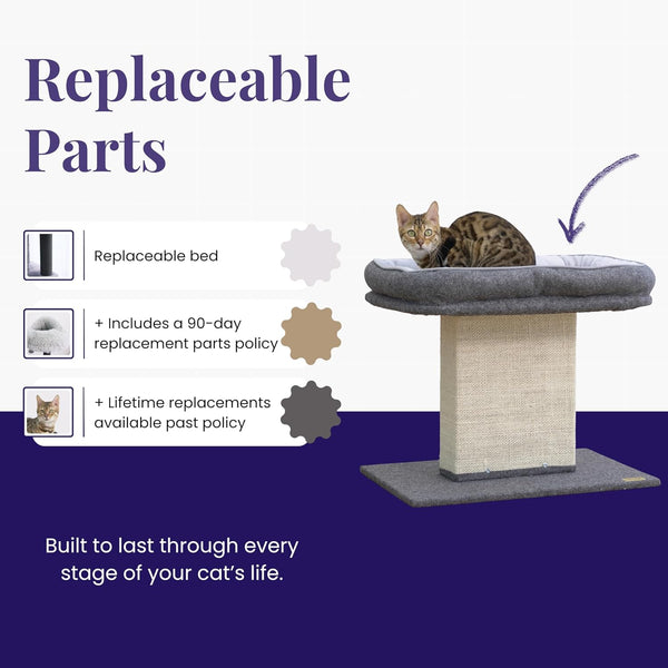 Catry Cat Perch with Washable Replaceable Bed & Wide Sisal Scratching Post | Cat Tree with Washable Replaceable Bed for Large Cats, Thick Sisal Scratching Post, Sturdy Cat Tower, Easy Assembly Cat Tree3