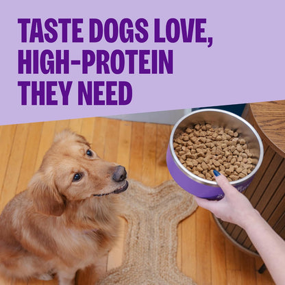 Wellness CORE Small Breed Adult Dry Dog Food, Grain Free Kibble, Natural, High Protein, Turkey and Chicken Recipe, 4 Lb Bag2