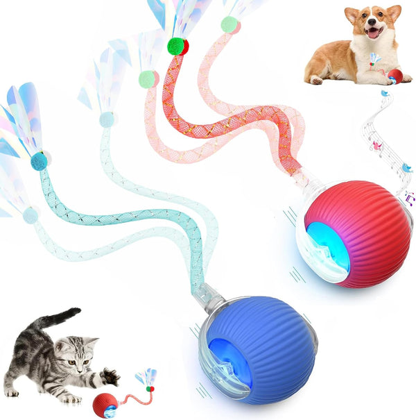 2 Packs Speed 2.0 Tail Interactive Cat Toys for Indoor Cats, Chirping & Motion Activate Cat Toy, Smart Kitten Rolling Ball Moving Ball Toys, Rechargeable Dog Cats Bal L for Enrichment Exercise1