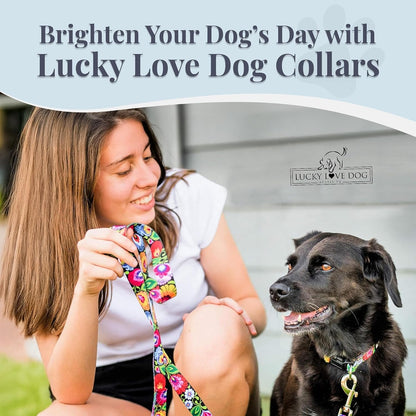 Lucky Love Dog - Easy Click Buckle Dog Collar with Leash Set Combo, Durable & Comfortable for Male & Female Dogs, Pet Collar for Medium Dogs, Secure Fit - Blackbird Combo, Medium8