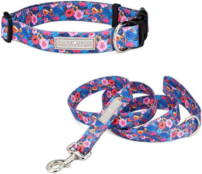 Lucky Love Dog - Easy Click Buckle Dog Collar with Leash Set Combo, Durable & Comfortable for Male & Female Dogs, Pet Collar for Medium Dogs, Secure Fit - Blackbird Combo, Medium44