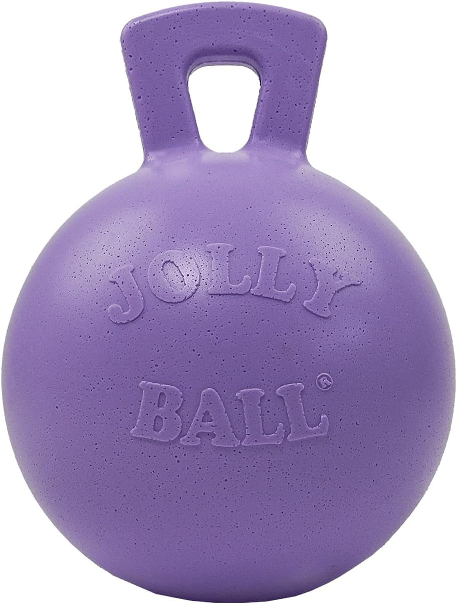 jolly-pets-tug-n-toss-heavy-duty-dog-toy-ball-with-handle-8-inches-large-red-408-rd