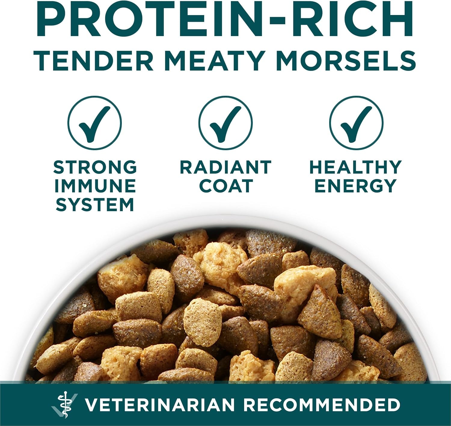 purina-one-plus-puppy-dry-dog-food-for-large-dogs-high-protein-growth-support-real-chicken-31-1-lb-bag