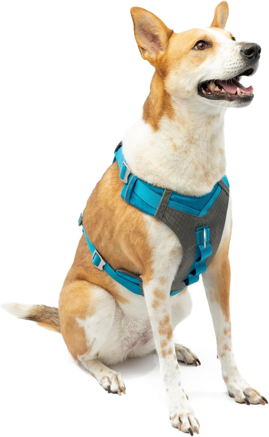 kurgo-journey-air-dog-harness-blue-small-padded-chest-ripstop-outer-breathable-mesh-back-assist-handle-rust-free-aluminum-hardware-reflective-trim