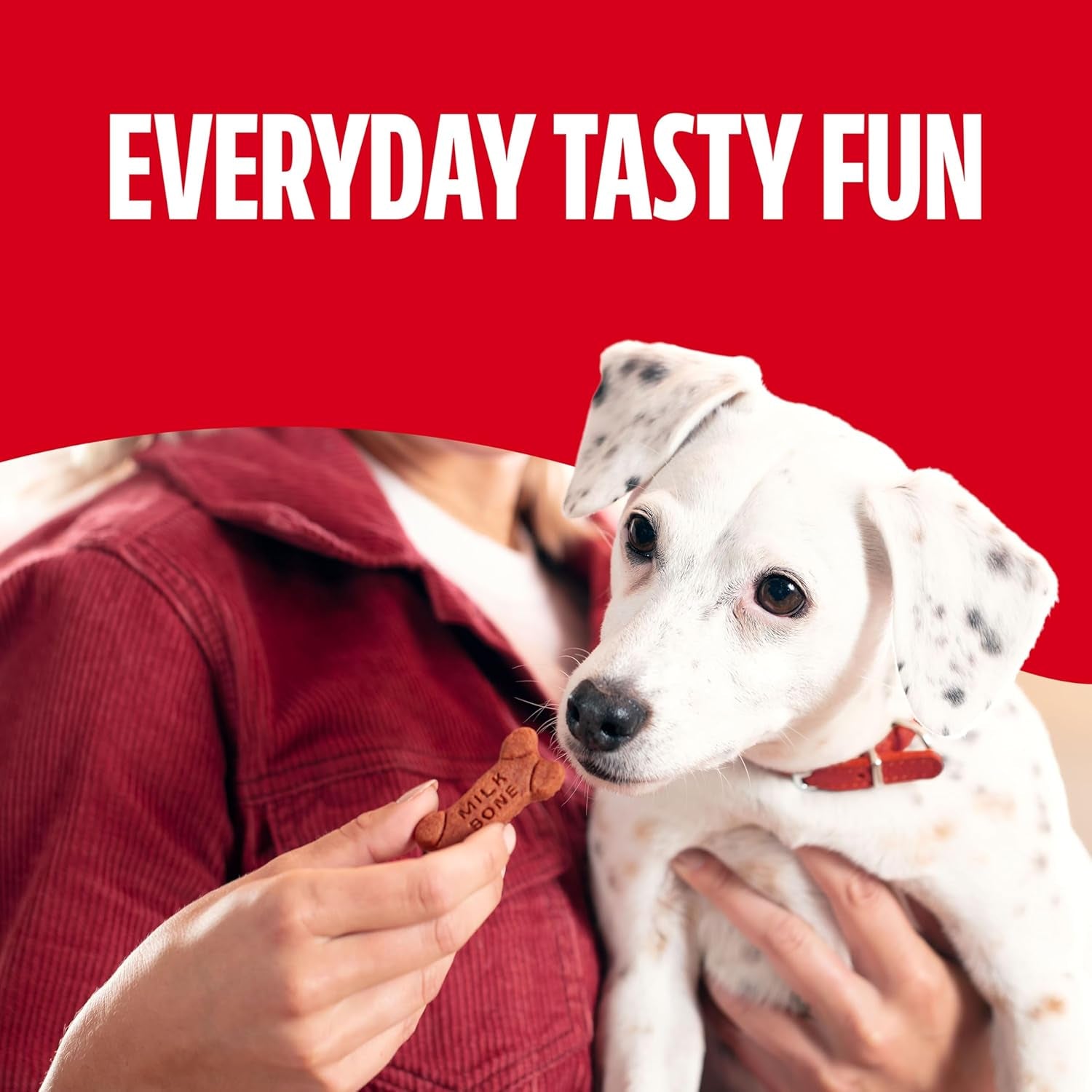 milk-bone-soft-chewy-dog-treats-made-with-real-beef-filet-mignon-25-ounce-canister