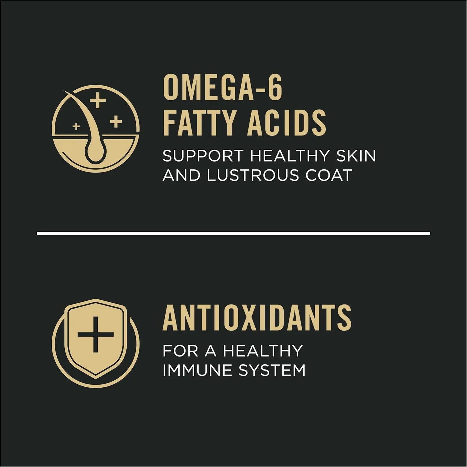 omega-6-fatty-acids-for-healthy-skin-coat-antioxidants-for-immune-support-in-pet-supplements