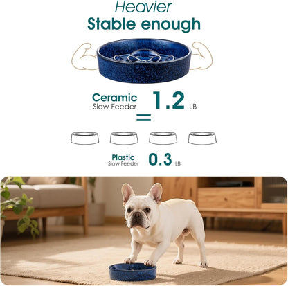 Vancasso Slow Feeder Dog Bowl, 0.6 Cups Ceramic Dog Food Dish for Fast Eaters Small Breed, Puzzle Bowl for Small Dogs and Cats, Blue4