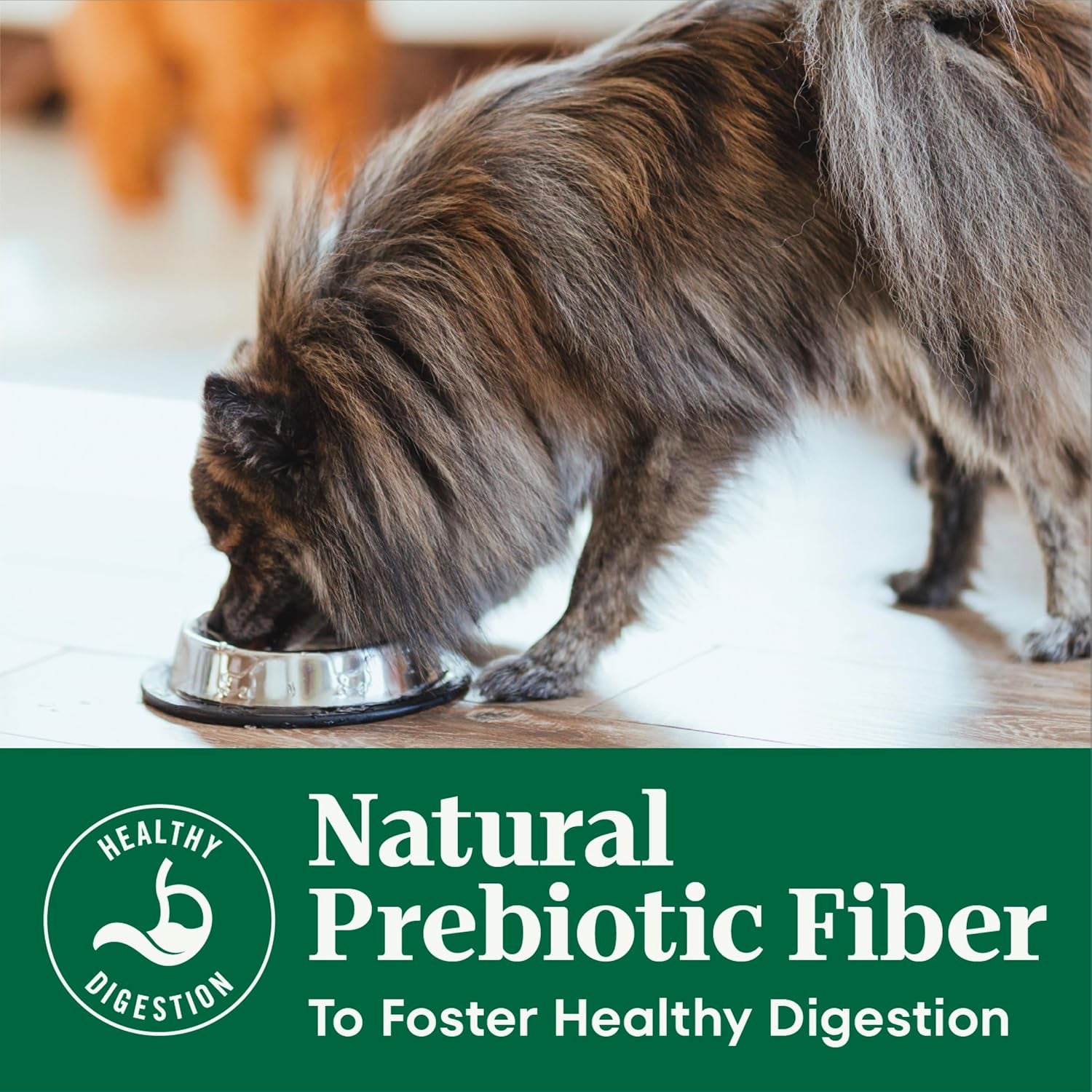 nutro-natural-choice-senior-small-breed-dry-dog-food-chicken-5-lb-chicken-first-ingredient-beet-pulp-prebiotic-omega-3-omega-6-vitamin-e-selenium-antioxidants-supports-bones-skin