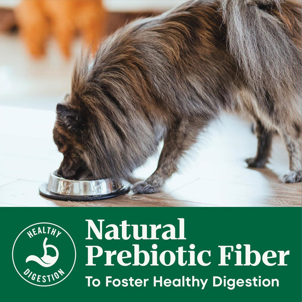 Nutro Natural Choice Senior Small Breed Dry Dog Food, Chicken, 5 Lb | Chicken First Ingredient, Beet Pulp Prebiotic, Omega-3 & Omega-6, Vitamin E & Selenium Antioxidants, Supports Bones, Skin5