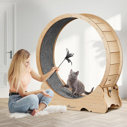 Cat Wheel, 46" XL Large Exercise Running Wheels with Detachable Carpet for Indoor Cats8
