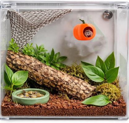 3Pcs Pumpkin Jumping Spider Hide Jumping Spider Enclosure Accessories Magnetic Mounting for Climbing, Resting and Exploration Small Reptile Enclosure Accessories (Pumpkin Hide)4