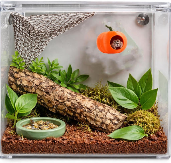 3Pcs Pumpkin Jumping Spider Hide Jumping Spider Enclosure Accessories Magnetic Mounting for Climbing, Resting and Exploration Small Reptile Enclosure Accessories (Pumpkin Hide)4