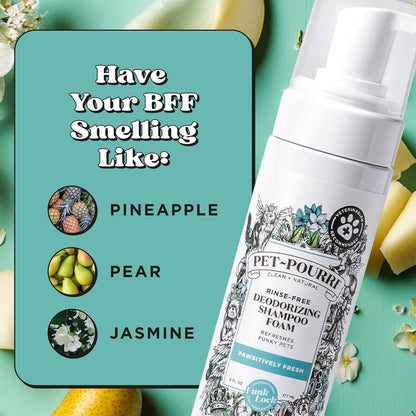 Poo-Pourri Rinse-Free Deodorizing Dry Shampoo for Dogs & Cats – Moisturizing Skin & Coat Soothing Formula - Plant Based Ingredients – Pineapple, Jasmine & Pear – No Rinse Foam Shampoo for Pet Odor9
