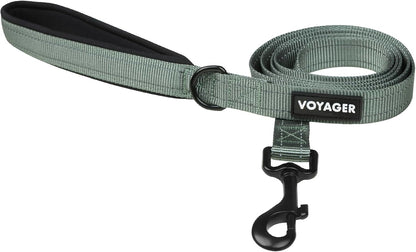 Best Pet Supplies Voyager Nylon Dog Leash - Fuchsia, Small | 5Ft in Length, 5/8" in Width, Reflective, Soft Neoprene Handle, Heavy Duty Metal Clips for Running, Walking & Training16