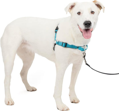 Petsafe Easy Walk Deluxe Dog Harness, No Pull Dog Harness – Perfect for Leash & Harness Training – Stops Pets from Pulling and Choking on Walks – Medium, Ocean11