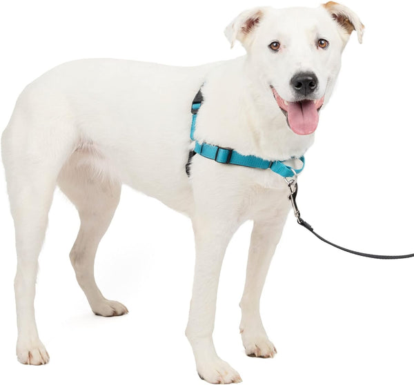 Petsafe Easy Walk Deluxe Dog Harness, No Pull Dog Harness – Perfect for Leash & Harness Training – Stops Pets from Pulling and Choking on Walks – Medium, Ocean11