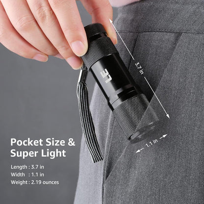Lighting EVER UV LED Flashlight, 9 LED 395Nm Blacklight Detector | Blacklight Detector for Pet Urine, Stain, Bed Bugs and More, 3 AAA Batteries Included5
