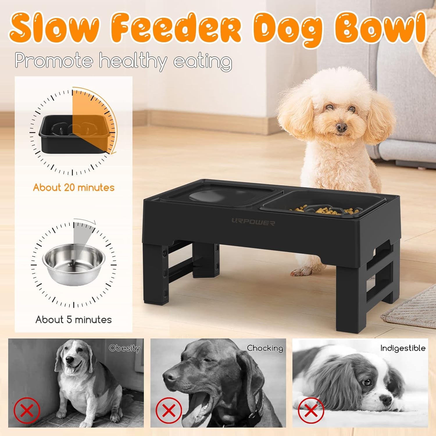 urpower-2-in-1-elevated-slow-feeder-dog-bowls-with-no-spill-water-bowl-4-height-adjustable-raised-dog-bowls-non-slip-food-and-water-bowls-with-stand-for-small-medium-large-dogs-cats-and-pets