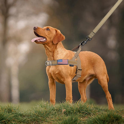 Annchwool No Pull Dog Harness with Soft Padded Handle,Reflective Strip Escape Proof and Quick Fit to Adjust Dog Harness,Easy for Training Walking for Small & Medium and Large Dogs(Brown,L)6