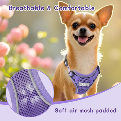Small Dog Harness and Leash Set, Adjustable Small Sized Pet Vest | Reflective Soft Breathable Mesh, 3 Buckles, Adjustable Neck and Chest, Easy on and Comfortable Secure Walking, Purple, S5