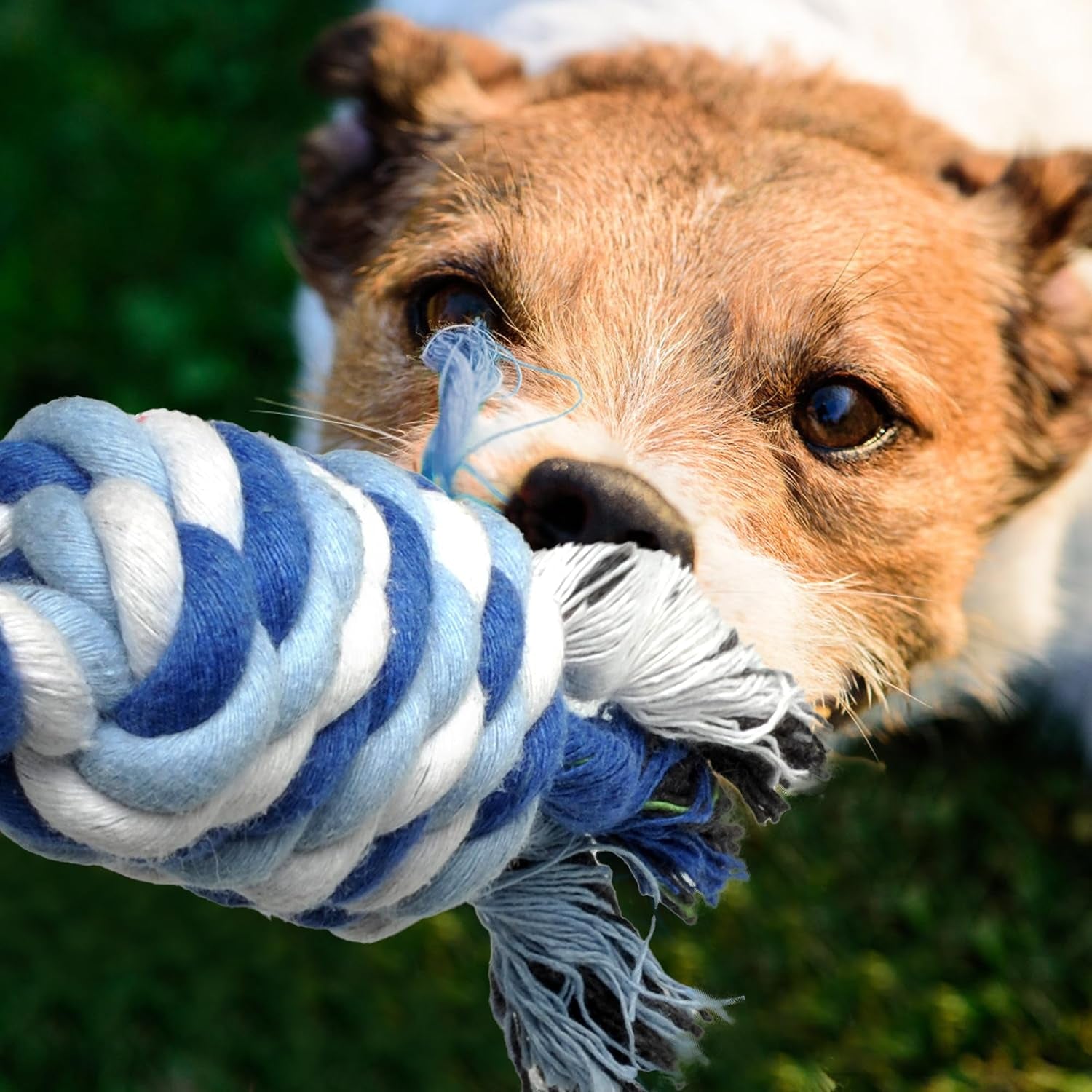 twoear-dog-rope-toy-4-pack-puppy-teething-toys-for-small-breed-indestructible-dog-chew-toys-for-aggressive-chewers-cotton-tug-of-war-dog-toys-for-boredom-teeth-clean
