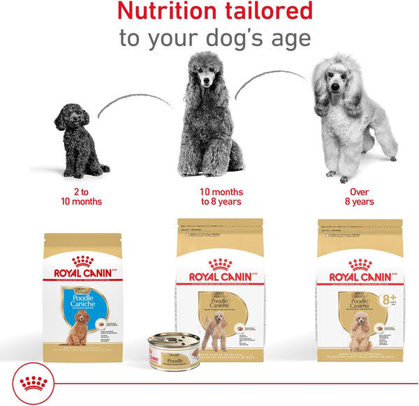 ROYAL CANIN Breed Health Nutrition Poodle Puppy Dry Dog Food, 2.5 Lb Bag. | Tailored for Poodle Puppies up to 10 Months, Specialized Kibble Shape, Supports Healthy Digestion, Antioxidant-Rich Formula.6