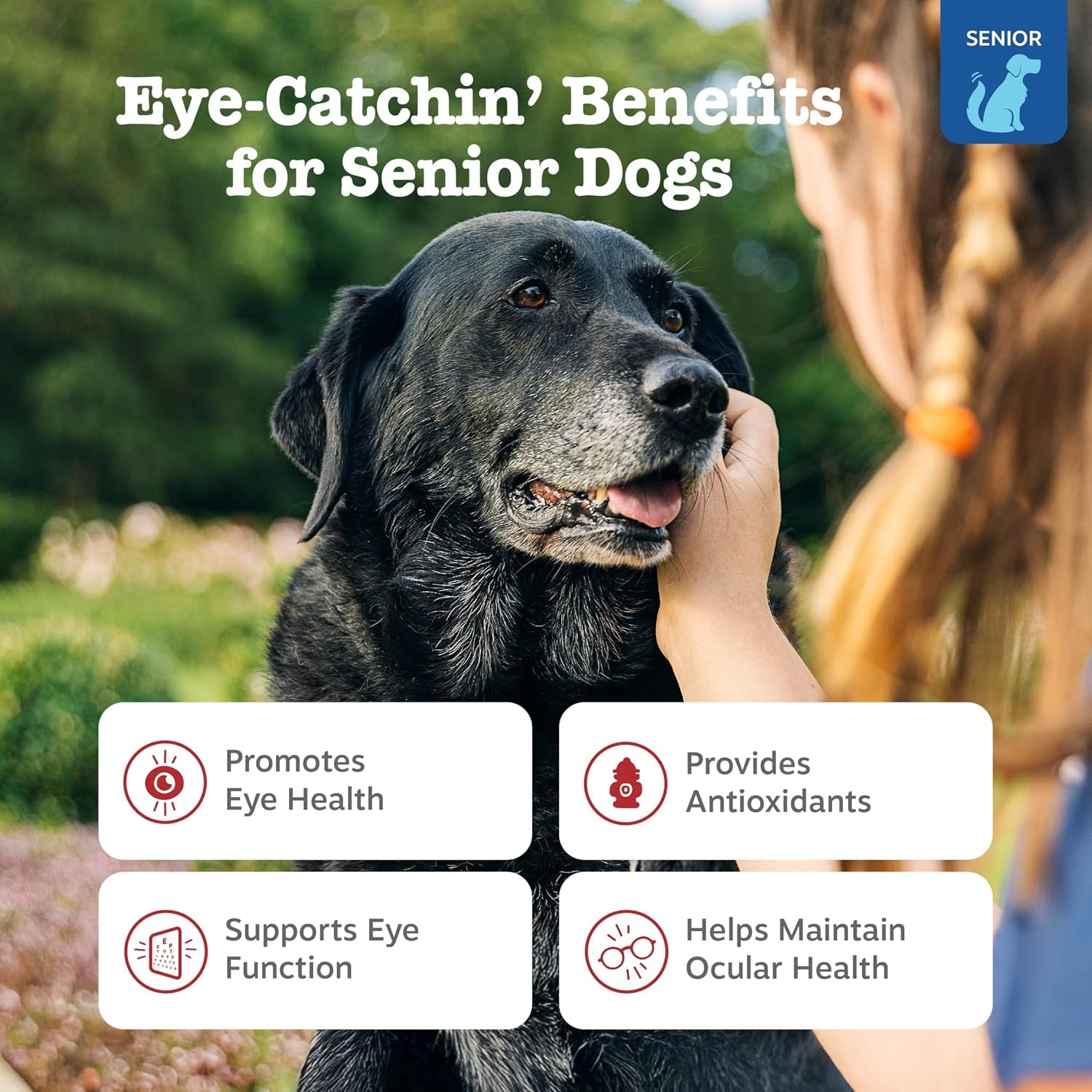 zesty-paws-eye-supplement-for-dogs-vision-support-with-antioxidants-omega-3-fatty-acids-90-chews