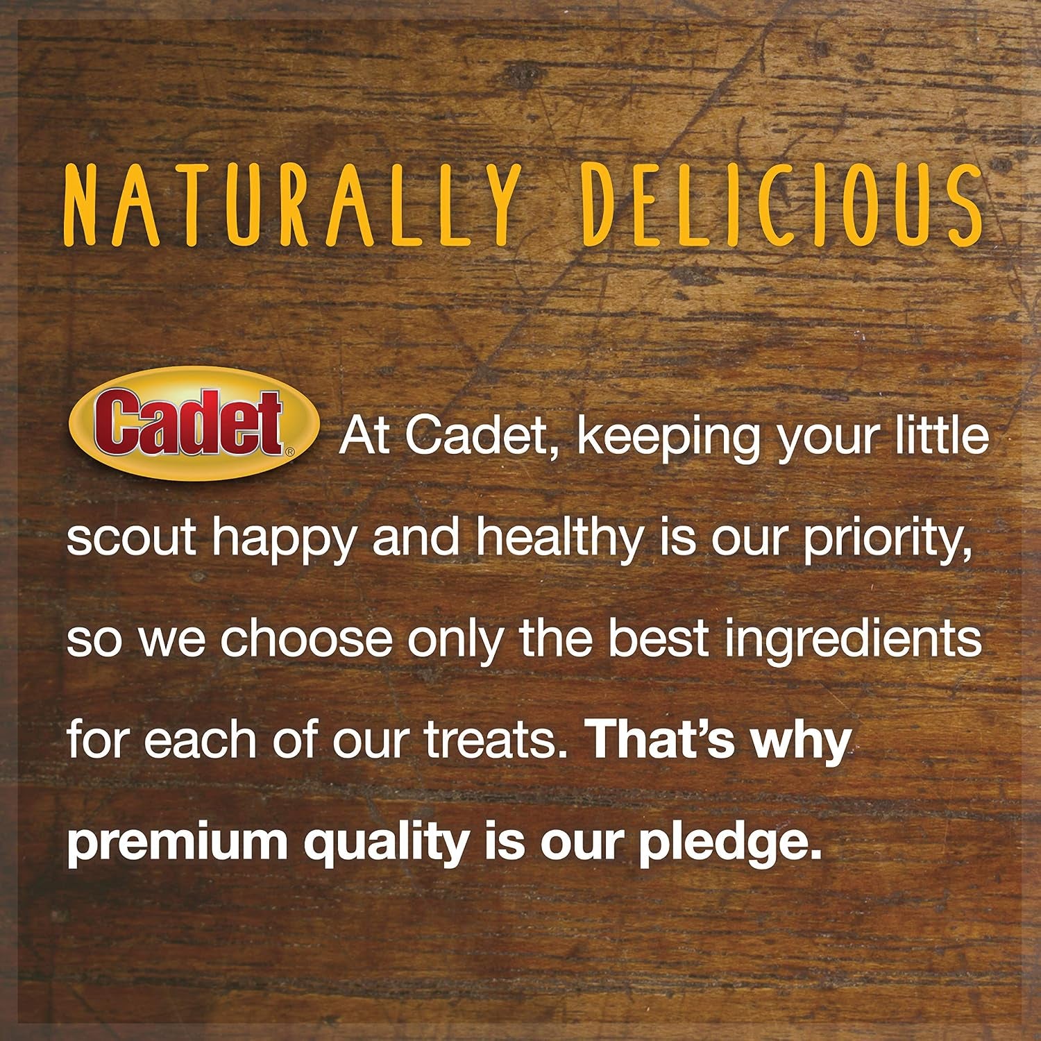 cadet-100-real-beef-strips-dog-treats-8-oz-single-ingredient-beef-esophagus-dog-jerky-healthy-high-protein-dog-bones-rawhide-alternative-for-small-large-dogs