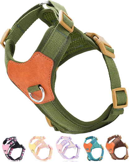 Green Xs Dog Harness for Small Dogs, No Pull Dog Harness with 2 Leash Clips, Puppy Harness, Dog Vest Harness(Green, XS)1