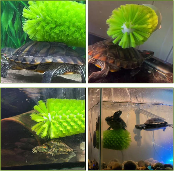 Turtle Scrub Brush, Turtle Scratches Back Brush Turtle Shell Clean Brush with Suction Cup Turtle Exfoliate Brush Tank Tortoise Brush for Remove Turtle Shell Scutes Mud Dirt6