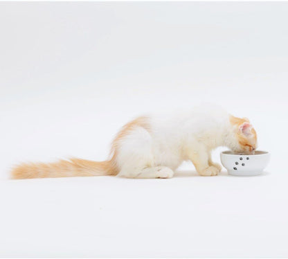 Necoichi Shallow Wide Ceramic Cat Food & Water Bowl (Paw, Basic Flat)8