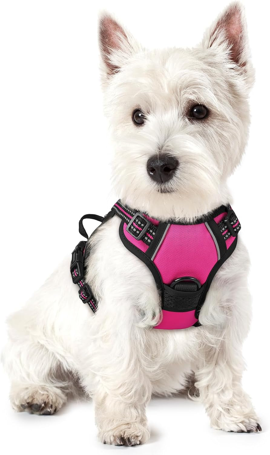 rabbitgoo-dog-harness-no-pull-for-large-dogs-with-2-leash-clips-pet-vest-no-choke-with-handle-adjustable-soft-padded-reflective-easy-control-for-walking-black-large