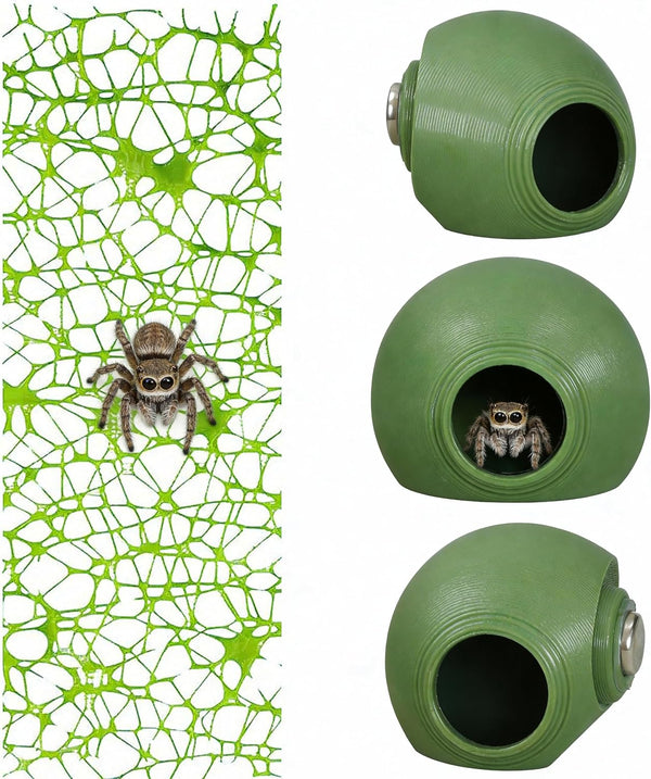 3Pcs Pumpkin Jumping Spider Hide Jumping Spider Enclosure Accessories Magnetic Mounting for Climbing, Resting and Exploration Small Reptile Enclosure Accessories (Pumpkin Hide)10