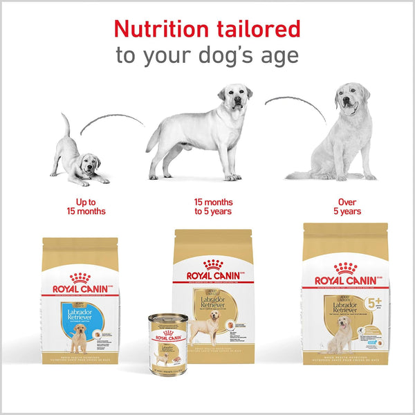 ROYAL CANIN Breed Health Nutrition Labrador Retriever Adult Dry Dog Food, 30 Lb Bag7