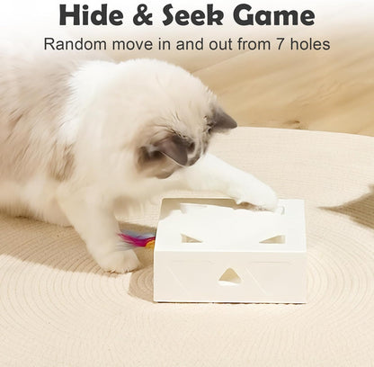 Interactive Cat Toys -Migibox for Indoor Bored Cats, Automatic Pop Out Feathers from 7 Holes Randomly, Motion Activated, USB Rechargeable (Purple Skin)3