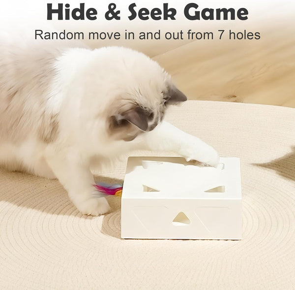 Interactive Cat Toys -Migibox for Indoor Bored Cats, Automatic Pop Out Feathers from 7 Holes Randomly, Motion Activated, USB Rechargeable (Purple Skin)3