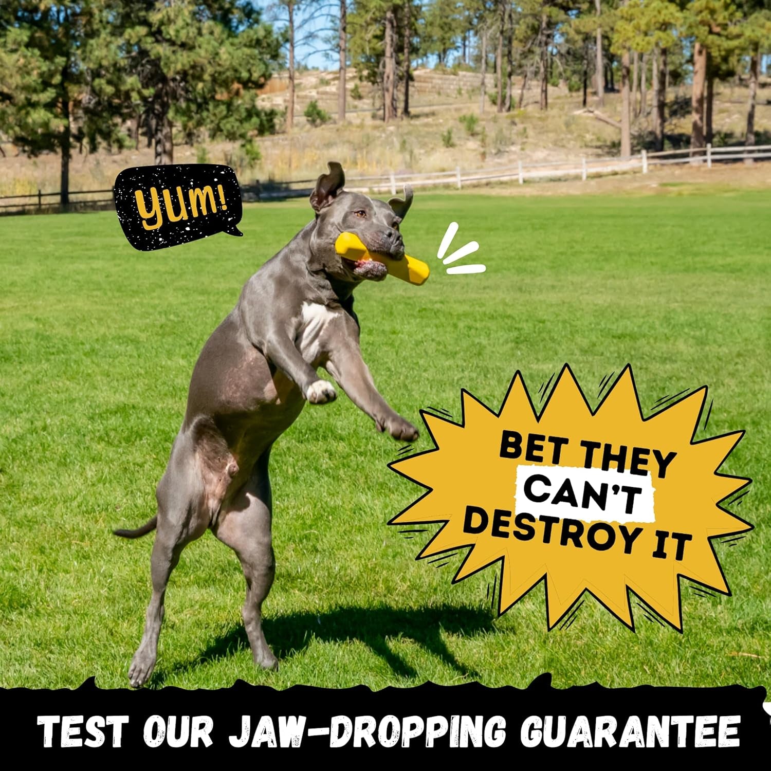 indestructible-stick-dog-toy-lifetime-replacement-durable-chew-toy-for-aggressive-chewers-safe-non-toxic-natural-rubber-chew-tug-fetch-tough-heavy-duty-med-large-breed-8-x2