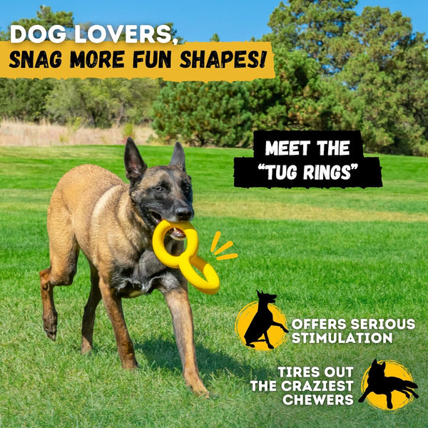 Indestructible Stick Dog Toy - Lifetime Replacement - Durable Chew Toy for Aggressive Chewers - Safe Non-Toxic Natural Rubber - Chew Tug & Fetch - Tough, Heavy Duty - Med/Large Breed, 8”X2”8