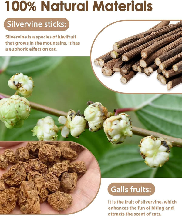 Tocirelo Silvervine Sticks Cat Toys - 6Pack Natural Cat Chew Toy Teeth Cleaning, Matatabi Dental Care Kitten Treat, Catnip Cat Teething Toys, Catmint Silver Vine Sticks for Bored Indoor Kitty2