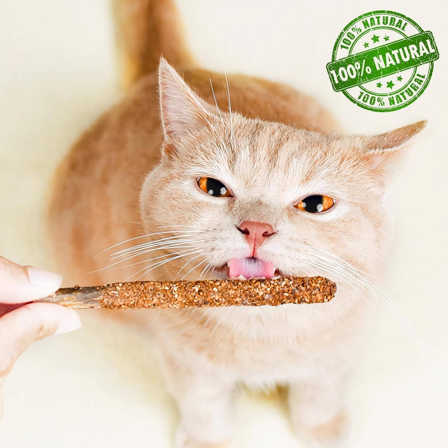 natural-silvervine-catnip-dental-chew-sticks-12-pc-100-natural-dental-chews-6-catnip-6-silvervine-fruit-cleans-teeth-freshens-breath-and-relieves-kitten-teething