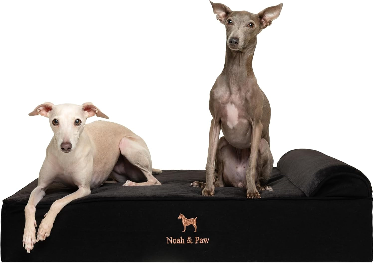 noah-paw-large-dog-bed-35x25x8-7-inch-orthopedic-dog-beds-eggshell-memory-foam-infused-with-cooling-gel-water-resistant-machine-washable-includes-inner-cover-velvet-collection