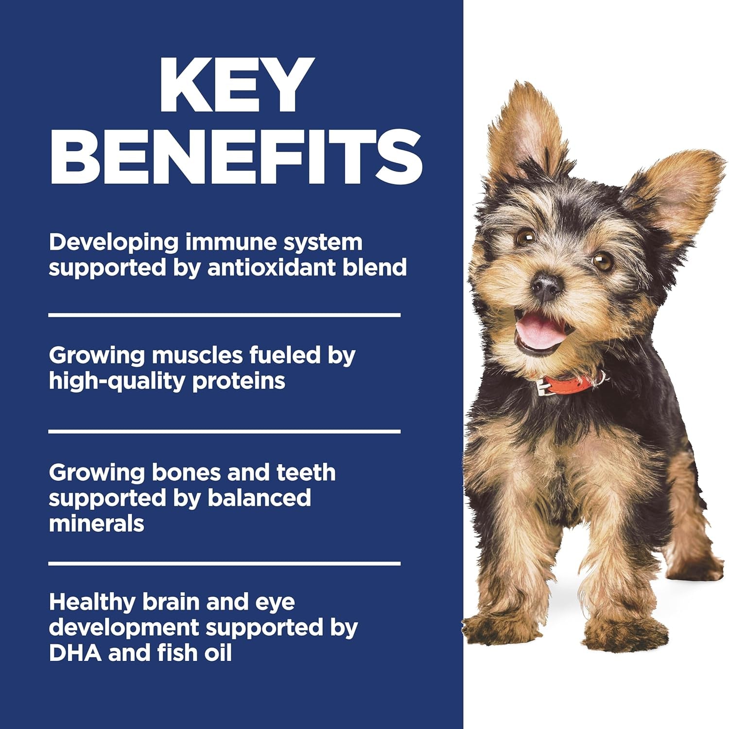 hills-science-diet-puppy-small-mini-dry-dog-food-1-veterinarian-recommended-chicken-brown-rice-4-5-lb-bag