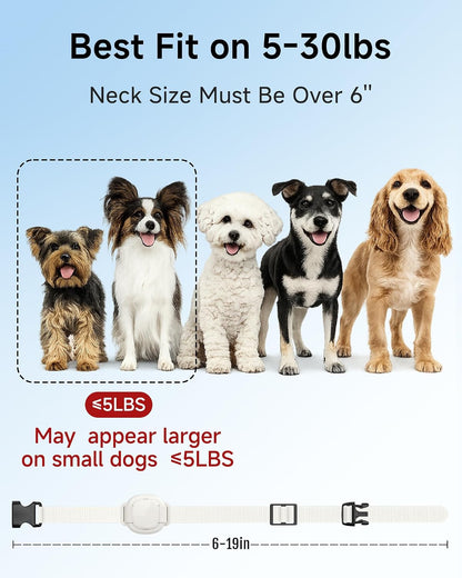 Shock Collar for Small Dogs 5-30Lbs -IPX8 Waterproof,White | 4200FT Dog Training Collar with Remote,Rechargeable Electric Collar with 3 Modes, Security Lock6